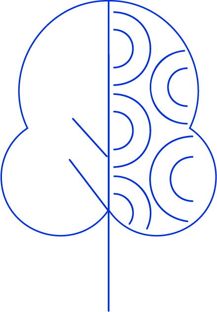 Recurso 6